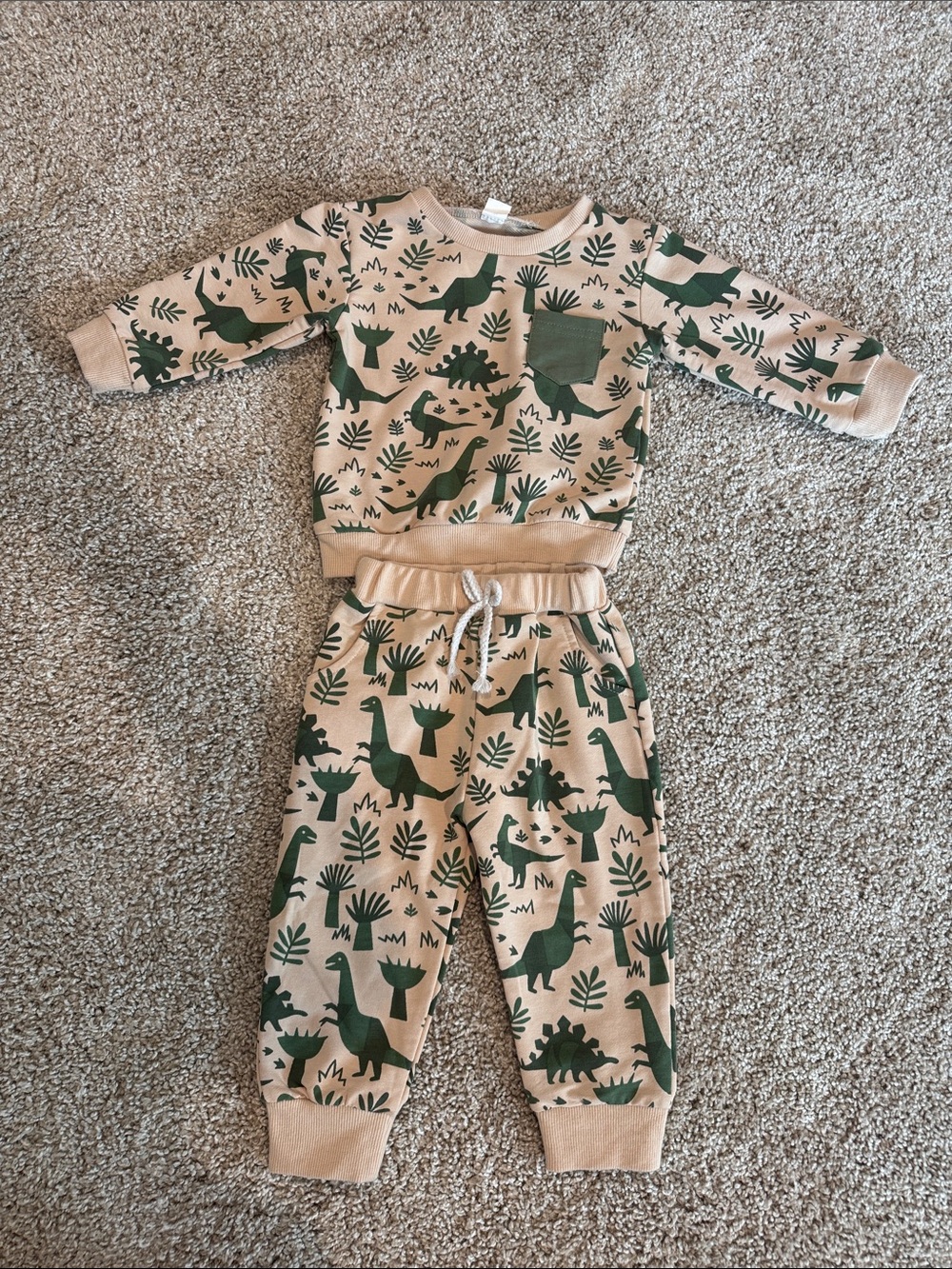 Toddler Beige and Green Dinosaur Matching Set